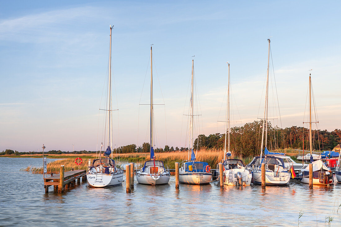 Boote im Hafen im Ostseebad Dierhagen, Fischland-Darß-Zingst, Ostseeküste, Mecklenburg, Mecklenburg-Vorpommern, Norddeutschland, Deutschland, Europa