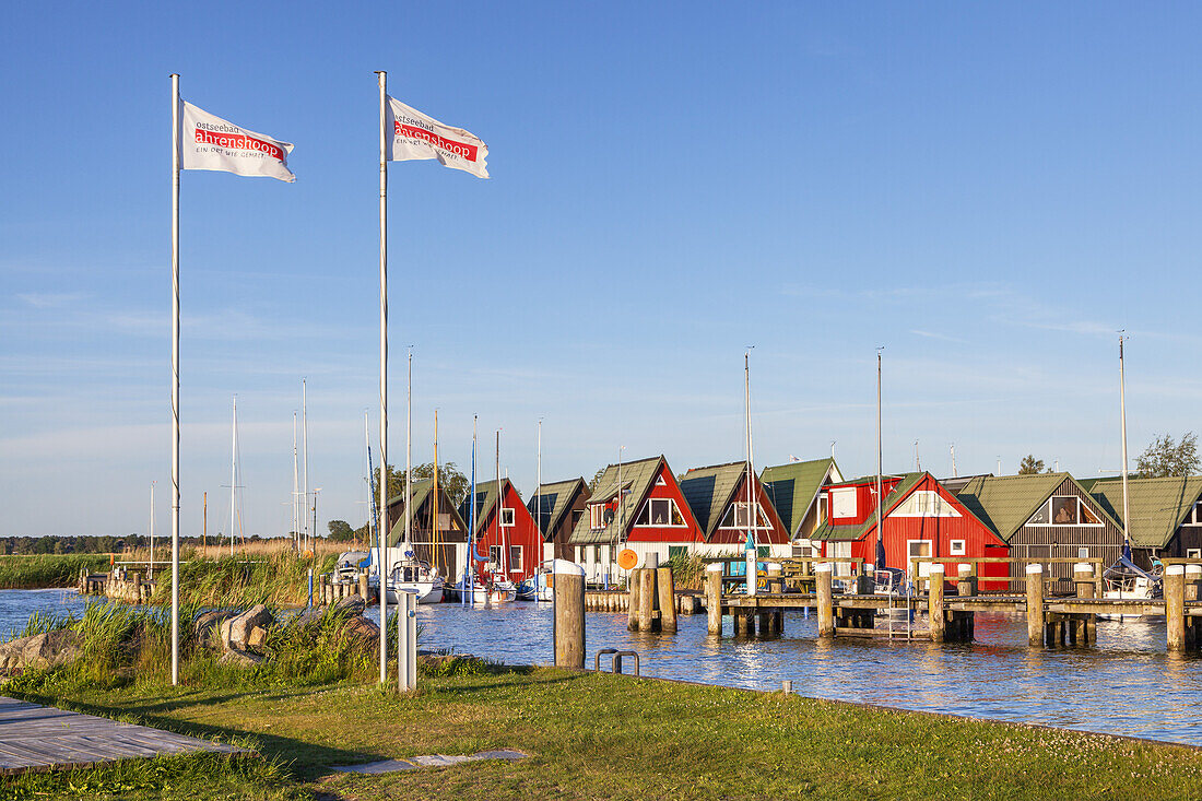 Harbour in Althagen, Baltic seaside resort Ahrenshoop, Fischland-Darss-Zingst, Baltic coast, Mecklenburg-Western Pomerania, Northern Germany, Germany, Europe