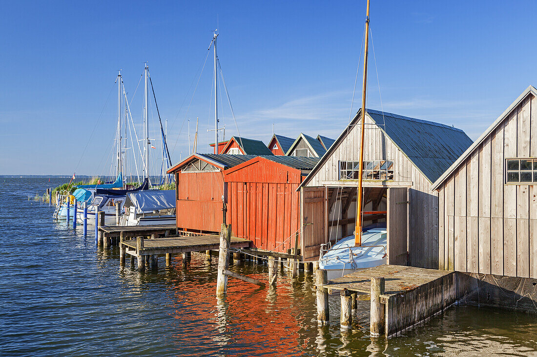 Hafen in Althagen, Ostseebad Ahrenshoop, Fischland-Darß-Zingst, Ostseeküste, Mecklenburg-Vorpommern, Norddeutschland, Deutschland, Europa