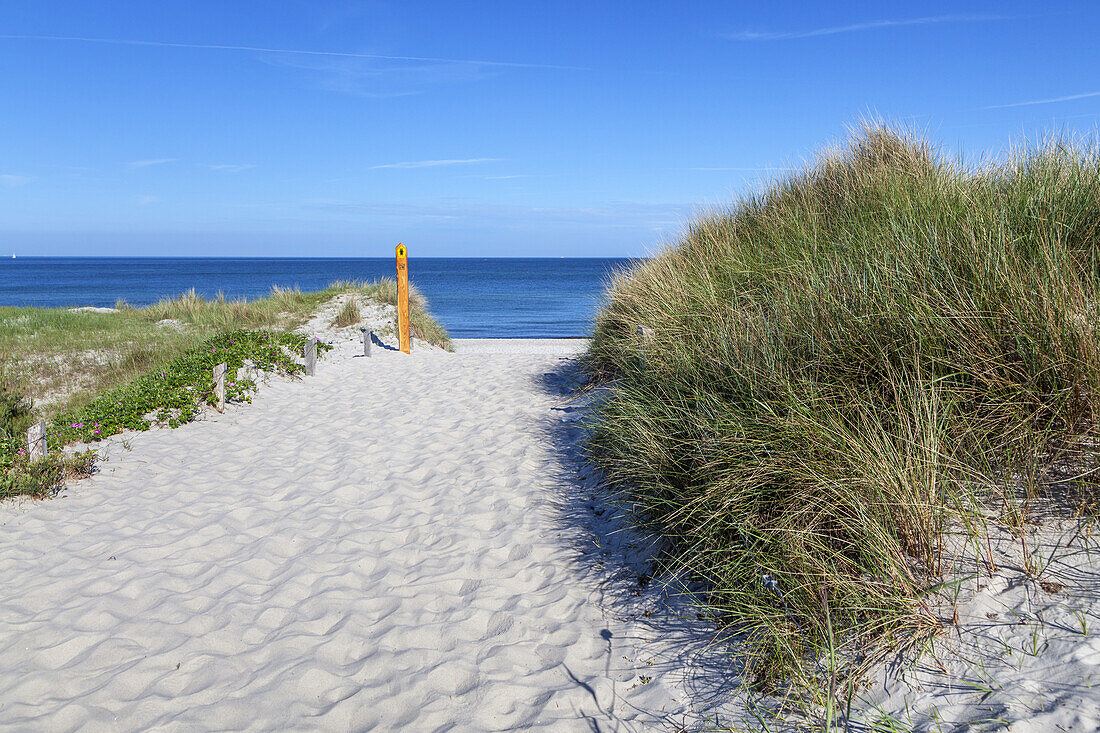 Beach darsser Ort, Baltic seaside resort Prerow, Fischland-Darss-Zingst, Baltic coast, Mecklenburg-Western Pomerania, Northern Germany, Germany, Europe