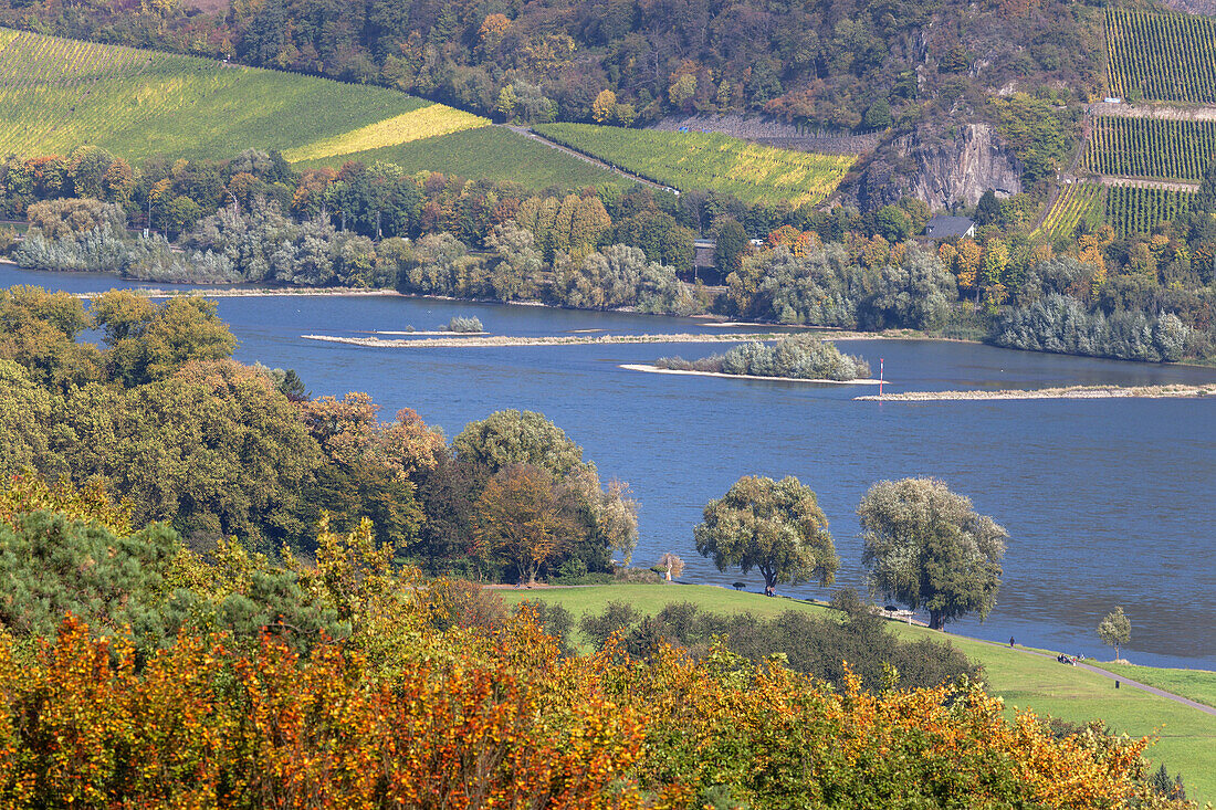 View of the river Rhine, Rolandswerth, Remagen, Middle Rhine Valley, North Rhine-Westphalia, Germany, Europe