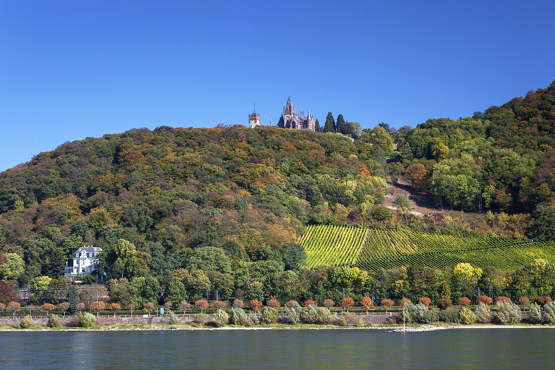 View over the river Rhine of castle Drachenburg on the Drachenfels, from Bonn Mehlem, Middle Rhine Valley, North Rhine-Westphalia, Germany, Europe