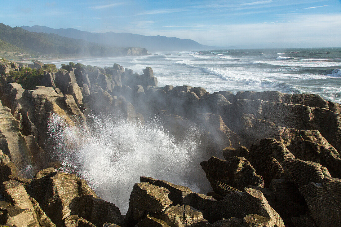 Pfannkuchen-Felsen, Blow Hole, Gischt, Brecher, Brandung der Flut, schießt durch Höhlen unter den Pancake Rocks, dramatisch, Springflut, Naturerlebnis, Kalkschichtstein, Westküste, Punakaiki, Dolomite Point, Tasman Sea, Südinsel, Neuseeland