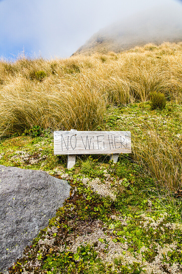 Kein W-Lan hier, Warnhinweis auf Holzschild, No WiFi Here, abgelegen, einsam, Taranaki, Nordinsel, Neuseeland