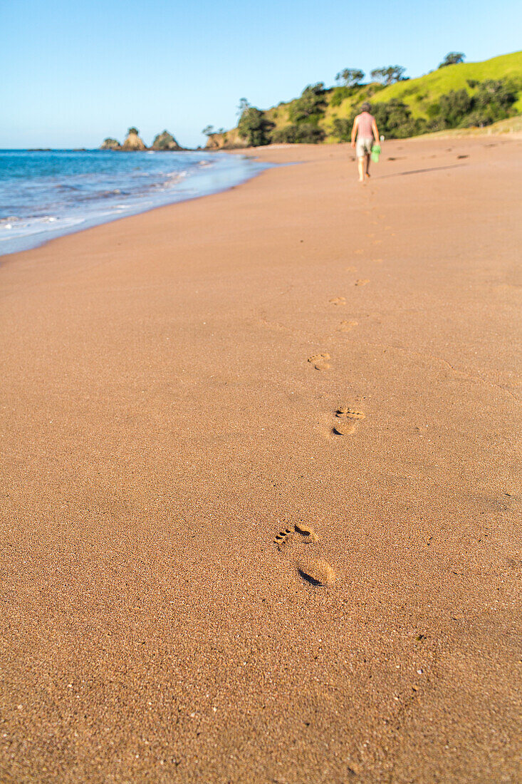 footprints in sand on beach, pristine beach, barefoot, high format, Tauranga Bay, Northland, North Island, New Zealand