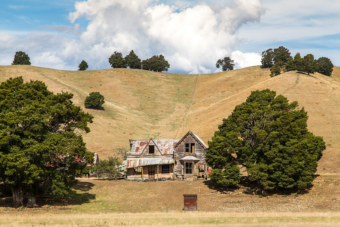 farm house ruin, abandoned, falling apart, timber building, dry grazing land, hills, Wakefield, South Island, New Zealand