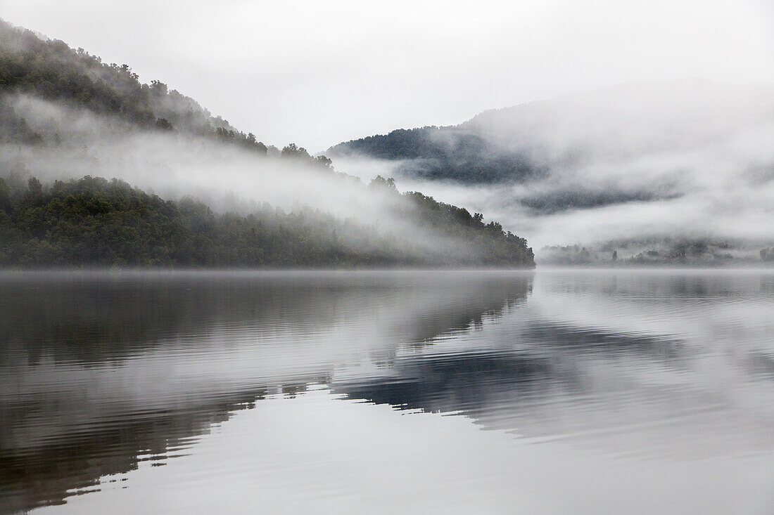 Morgennebel, Nebelfetzen, bewaldete Hügel, Niemand, Lake Paringa, monochrom, Westland, Südinsel, Neuseeland