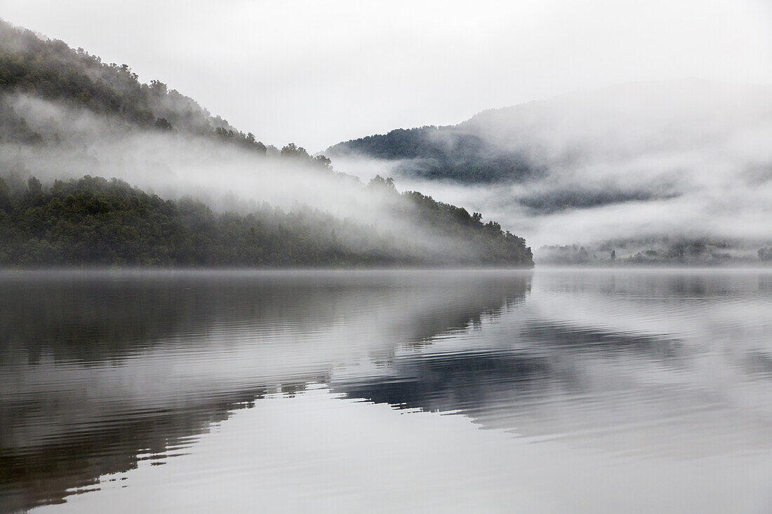 morning mist, Lake Paringa, fog, low cloud after rain on west coast lake, forest fringed lake, nobody, Westland, South Island, New Zealand