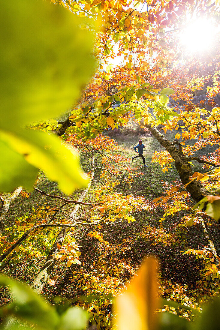 Junger Mann rennt durch einen herbstlich bunten Wald, Allgäu, Bayern, Deutschland
