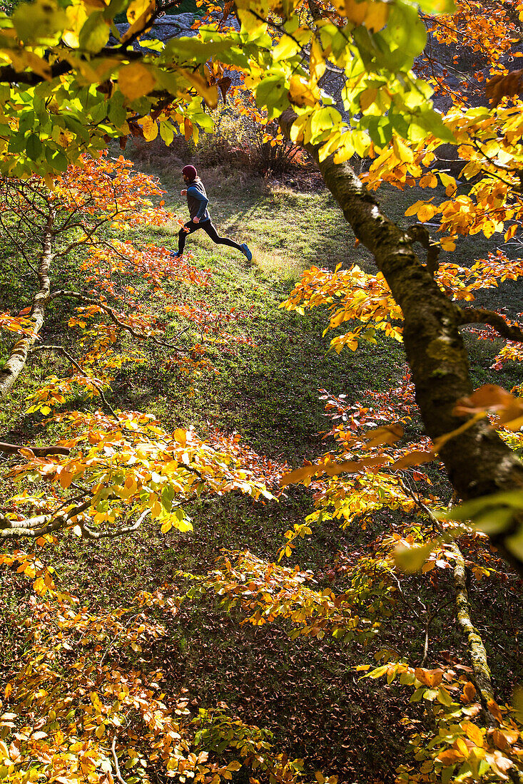 Junger Mann rennt durch einen herbstlich bunten Wald, Allgäu, Bayern, Deutschland