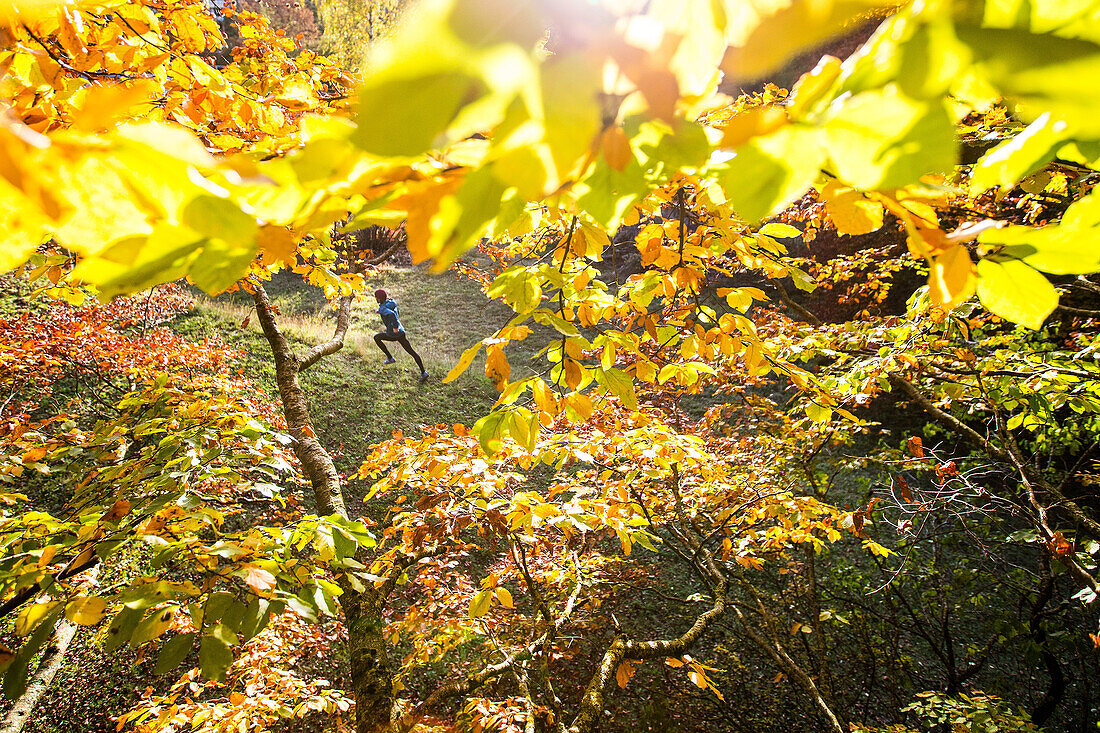 Junger Mann rennt durch einen herbstlich bunten Wald, Allgäu, Bayern, Deutschland