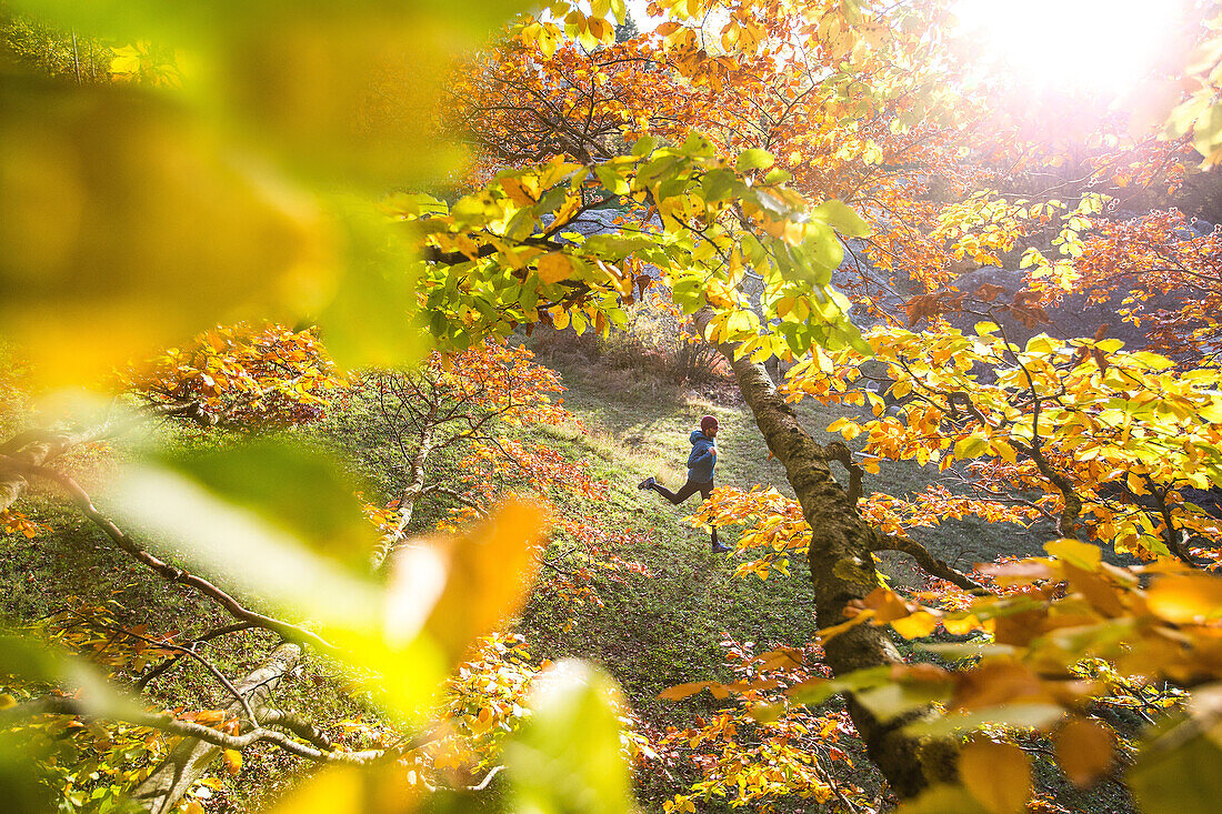 Young man running through a colorful autumn forest, Allgaeu, Bavaria, Germany