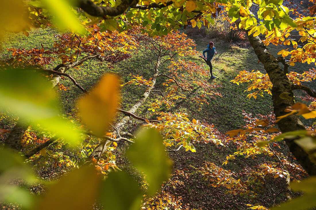 Junger Mann rennt durch einen herbstlich bunten Wald, Allgäu, Bayern, Deutschland