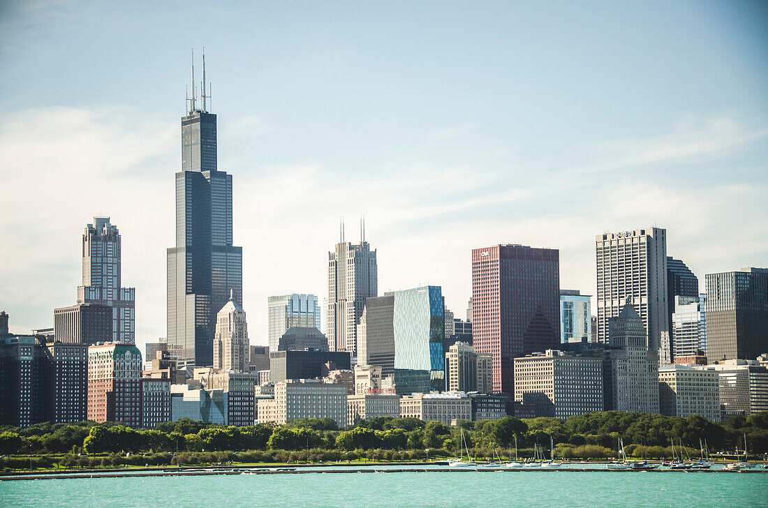 Downtown Skyline, Chicago, Illinois, USA