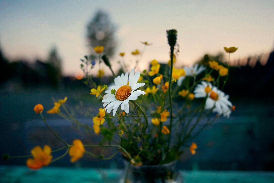 Flowers in vase outdoors