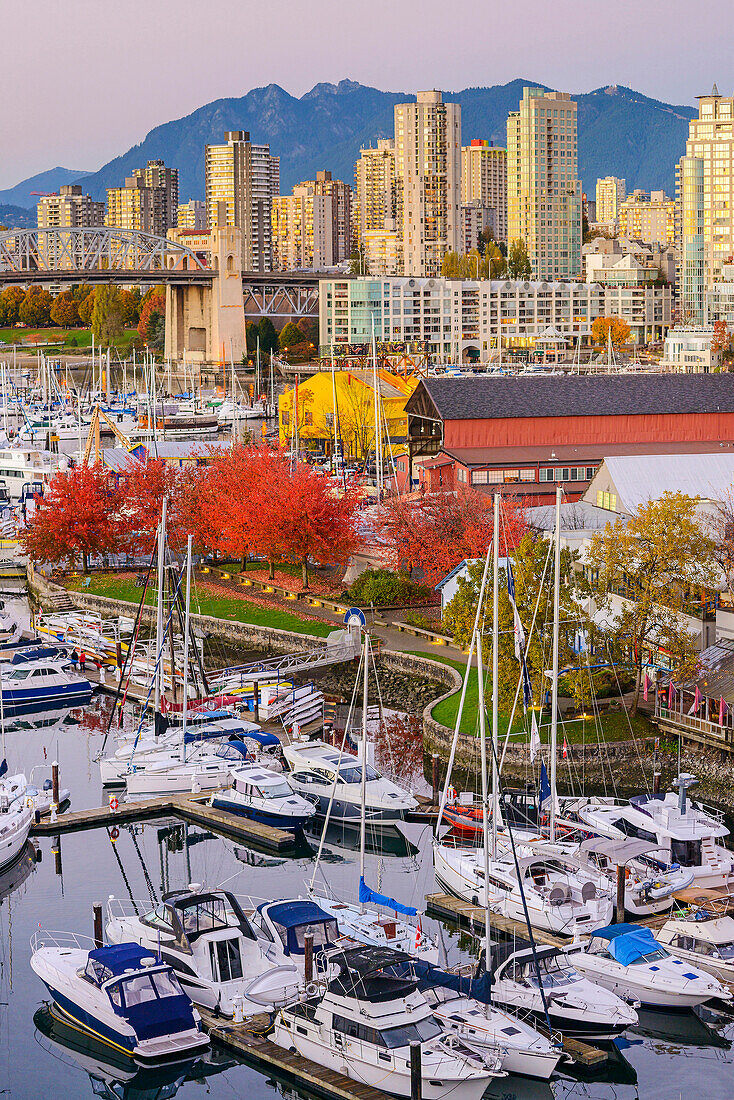 High angle view of boats docked in Vancouver harbor, British Columbia, Canada