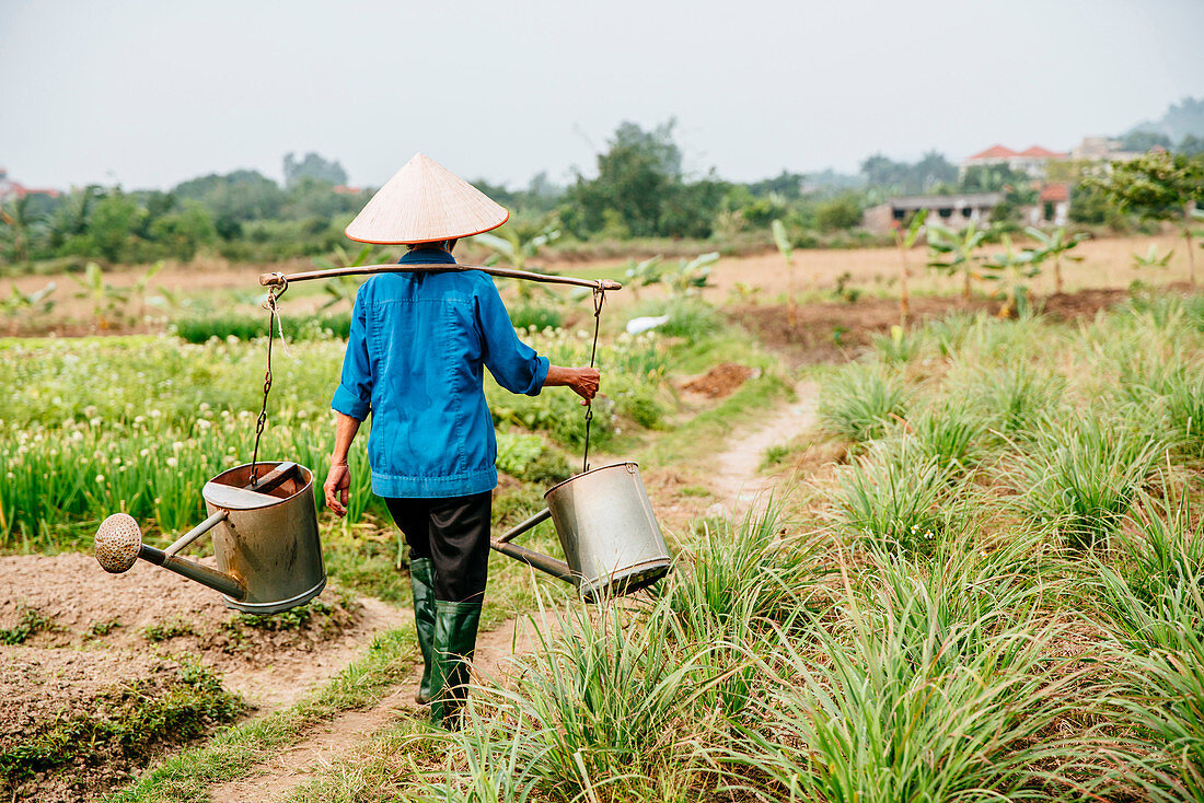 Farmer carrying water in rural crop field