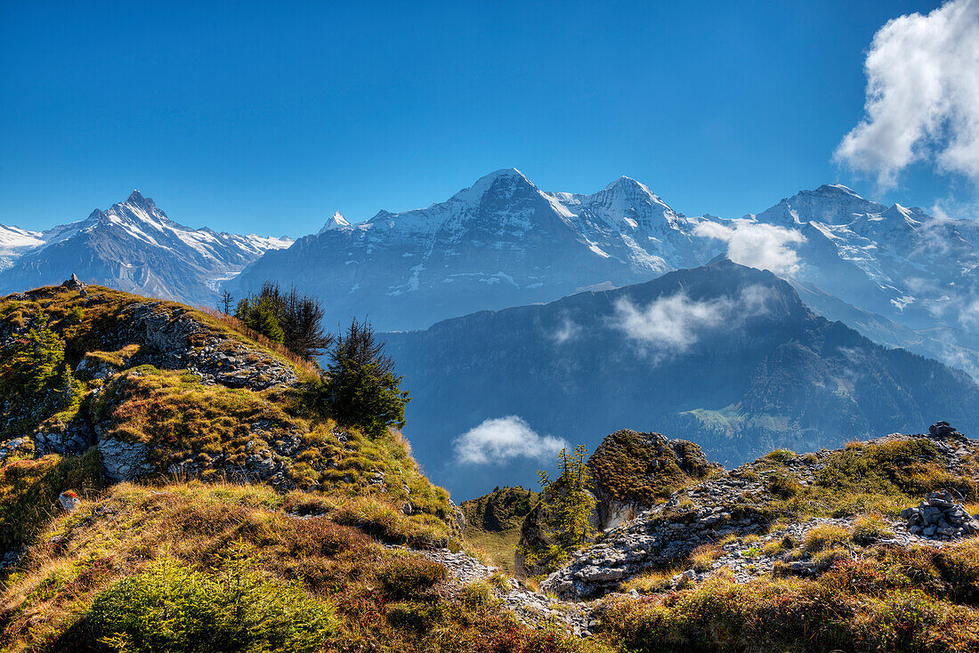 Blick vom Oberberghorn auf Schreckhorn, Eiger, Mönch und Jungfrau, Grindelwald, Berner Oberland, Kanton Bern, Schweiz