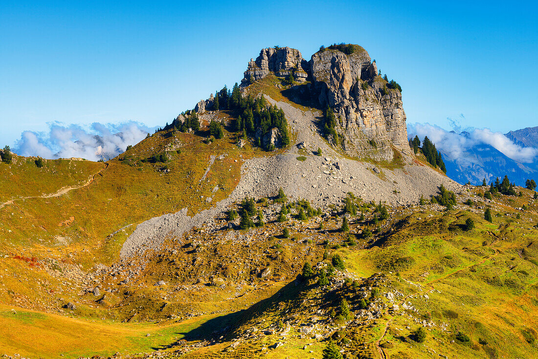 Blick auf das Oberberghorn von der Schynigen Platte, Wilderswil, Berner Oberland, Kanton Bern, Schweiz