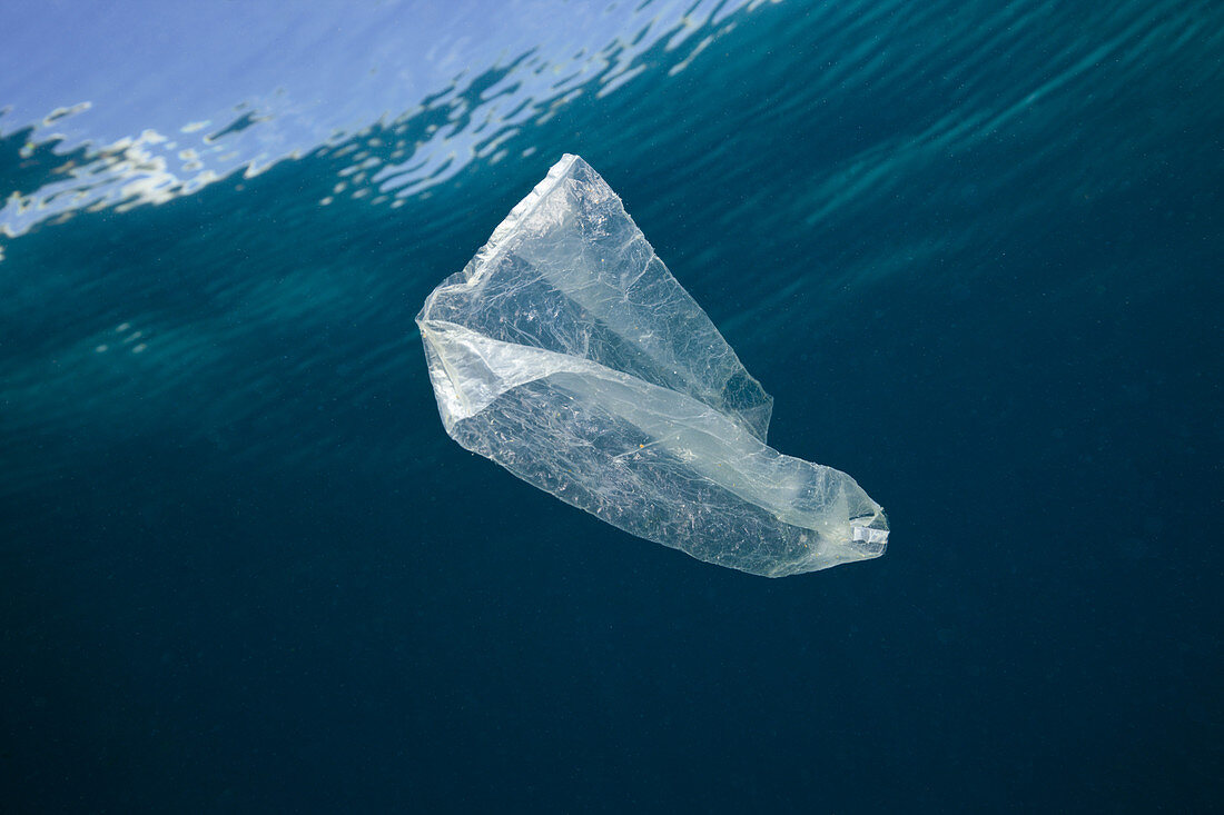 Plastic Bag adrift in Ocean, Indo Pacific, Indonesia