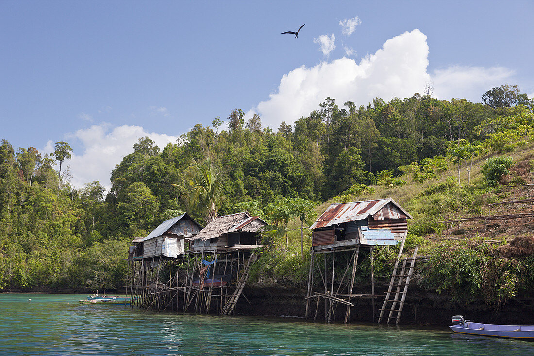 Traditional Houses built on Stilts, Gam, Raja Ampat, West Papua, Indonesia