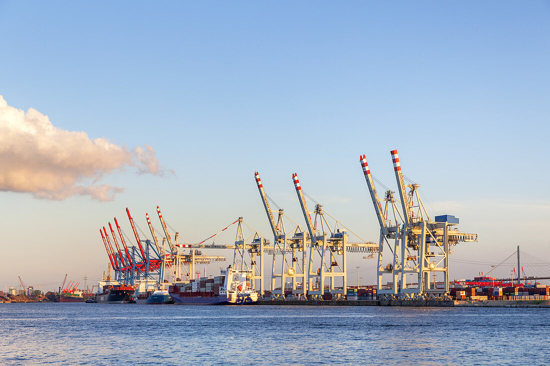 Containerterminal im Hamburger Hafen, Altona-Altstadt, Hansestadt Hamburg, Norddeutschland, Deutschland, Europa