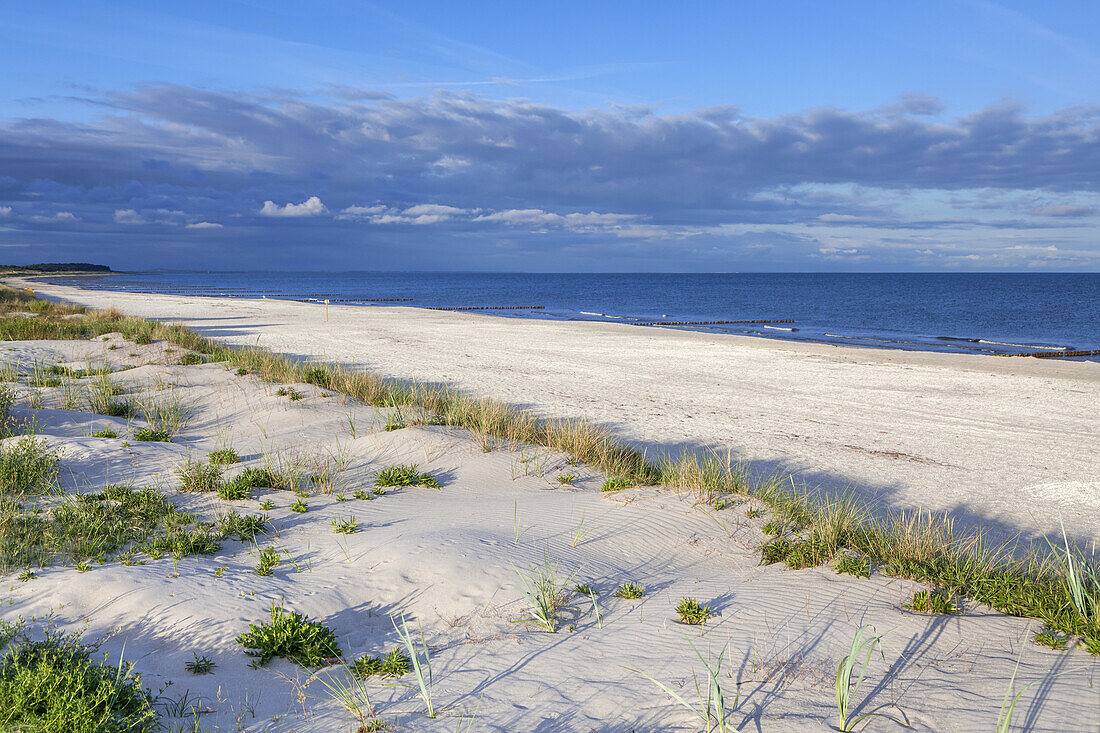 Strand von Vitte, Insel Hiddensee, Ostseeküste, Mecklenburg-Vorpommern,  Norddeutschland, Deutschland, Europa