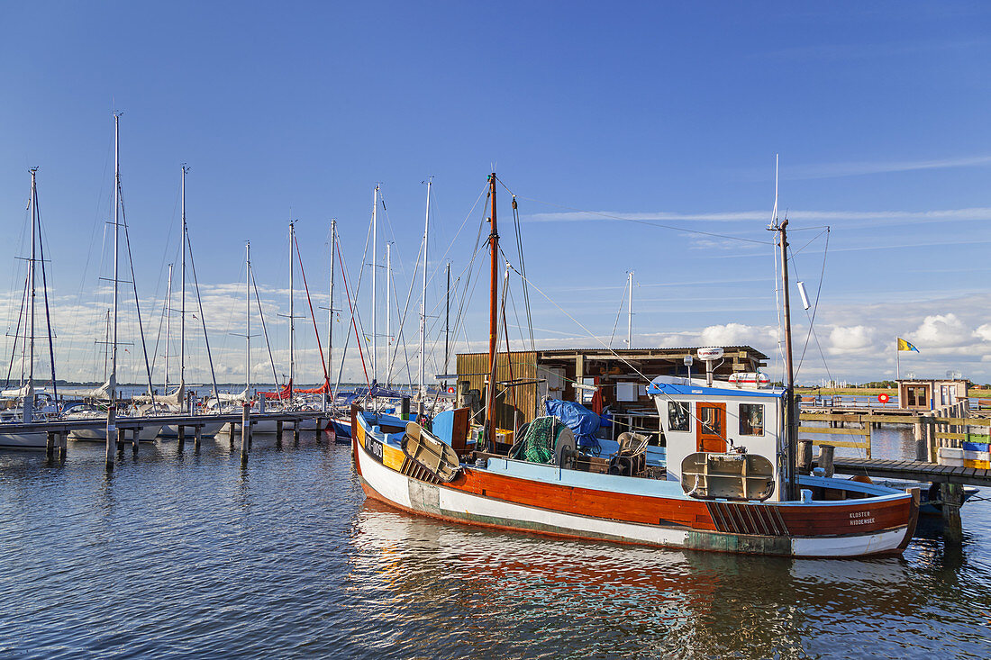 Fishing boats in the harbour of Vitte, Island Hiddensee, Baltic coast, Mecklenburg-Western Pomerania, Northern Germany, Germany, Europa