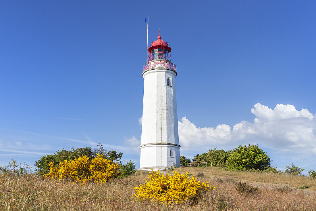 Lighthouse on the Dornbusch, Kloster, Island Hiddensee, Baltic coast, Mecklenburg-Western Pomerania, Northern Germany, Germany, Europa