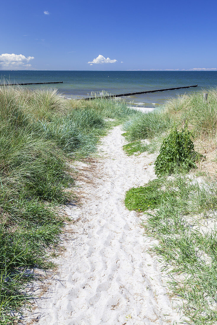 Strandaufgang zum Strand in Neuendorf, Insel Hiddensee, Ostseeküste, Mecklenburg-Vorpommern, Norddeutschland, Deutschland, Europa