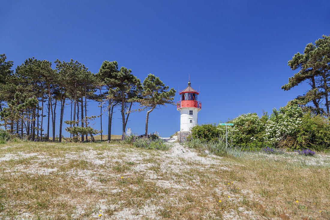 Leuchtturm am Gellen, bei Neuendorf, Insel Hiddensee, Ostseeküste, Mecklenburg-Vorpommern, Norddeutschland, Deutschland, Europa