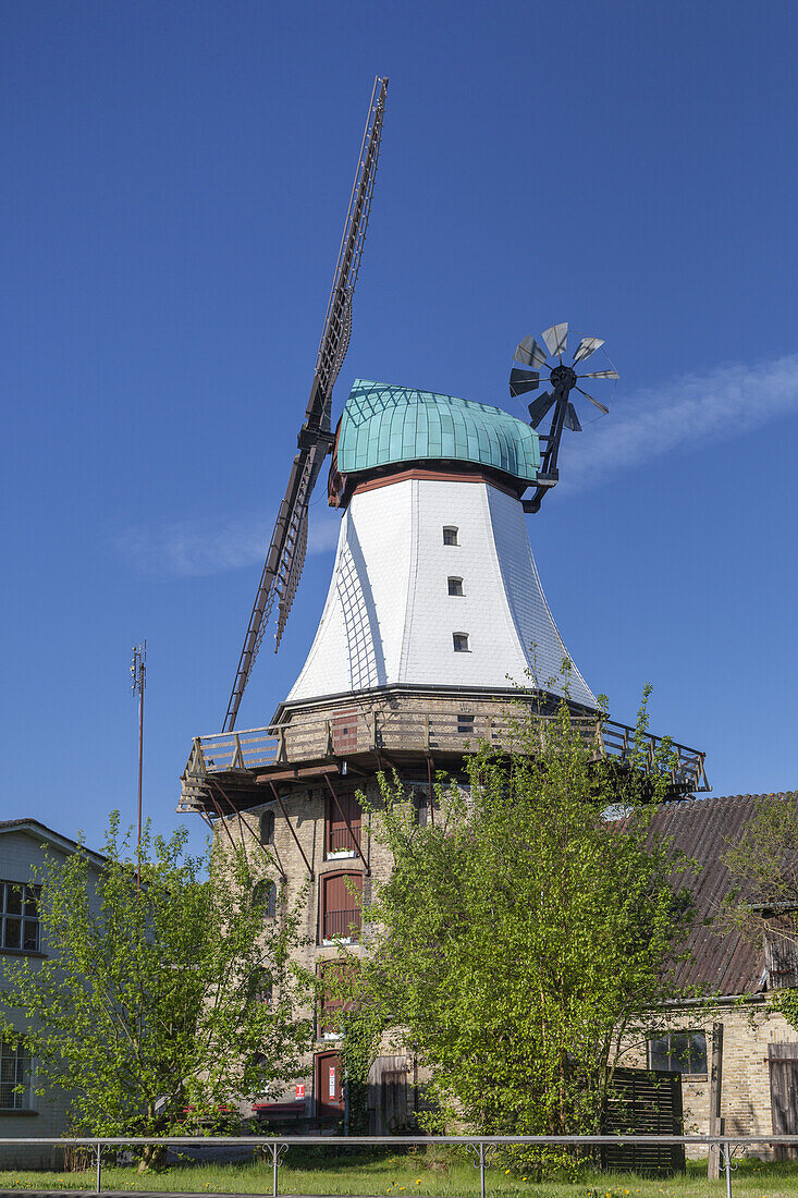 Windmill Amanda in Kappeln, Baltic coast, Schleswig-Holstein, Northern Germany, Germany, Europe