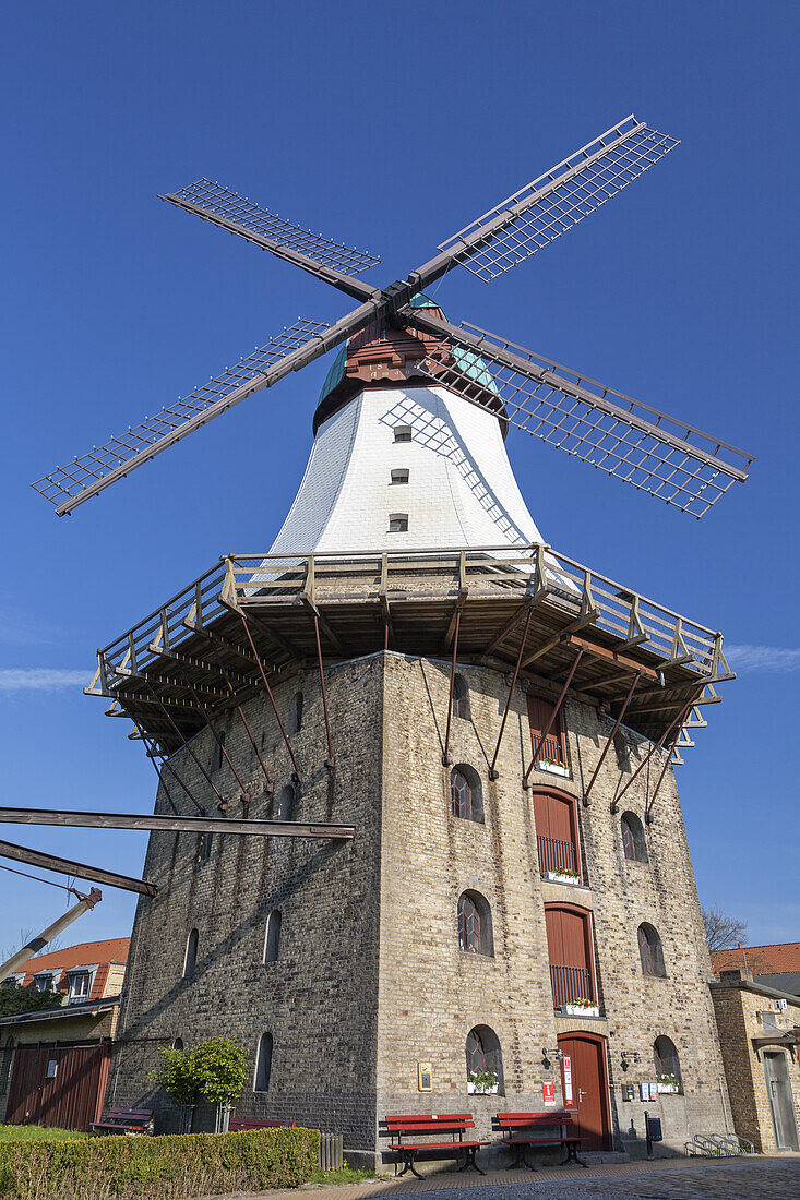 Windmill Amanda in Kappeln, Baltic coast, Schleswig-Holstein, Northern Germany, Germany, Europe