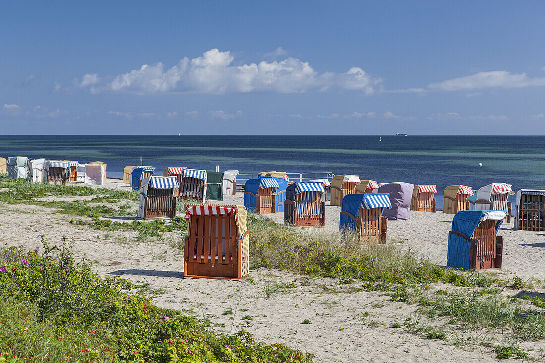 Strand bei Strande an der Ostseeküste, Schleswig-Holstein, Norddeutschland, Deutschland, Nordeuropa, Europa