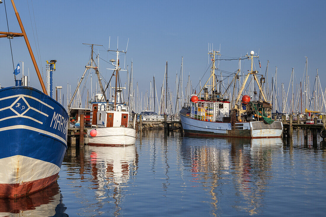 Fischkutter im Hafen von Maasholm an der Schlei, Ostseeküste, Schleswig-Holstein, Norddeutschland, Deutschland, Nordeuropa, Europa