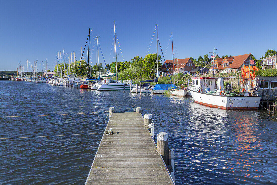 Boote im Hafen in Seedorf, Insel Rügen, Ostseeküste, Vorpommern, Mecklenburg-Vorpommern, Norddeutschland, Deutschland, Europa