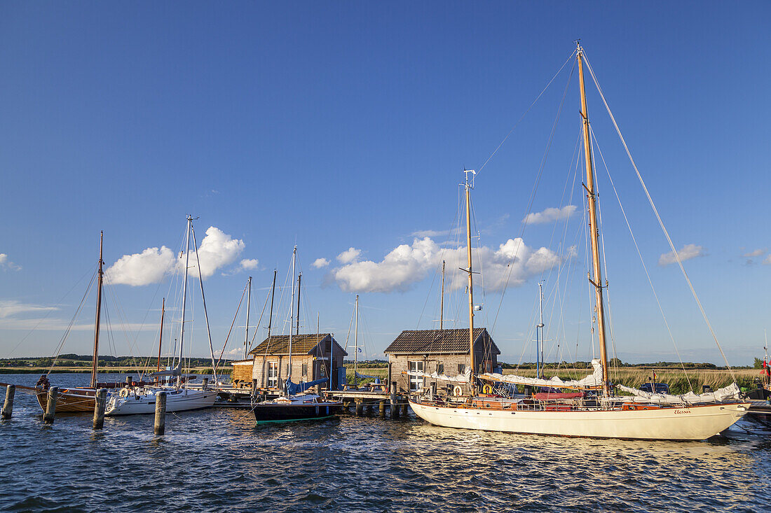 Boats in harbour in Gager, Island Ruegen, Baltic Sea coast, Mecklenburg-Western Pomerania, Northern Germany, Germany, Europe