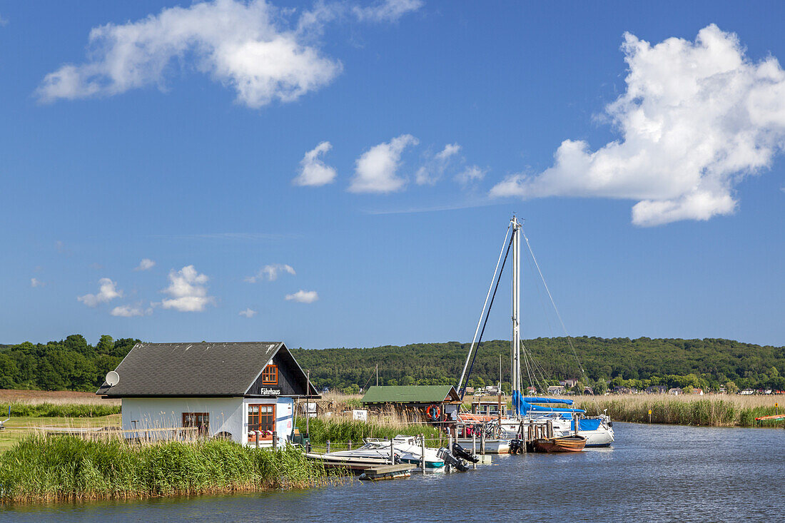 Blick von Baabe Bollwerk auf das Fährhaus in Moritzdorf, Ostseebad Baabe, Mönchgut, Insel Rügen, Ostseeküste, Vorpommern, Mecklenburg-Vorpommern, Norddeutschland, Deutschland, Europa