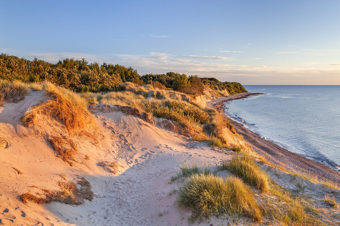 Cliffs and dunes in evening light, near Dranske, Peninsula Wittow, Island Ruegen, Baltic Sea coast, Mecklenburg-Western Pomerania, Northern Germany, Germany, Europe