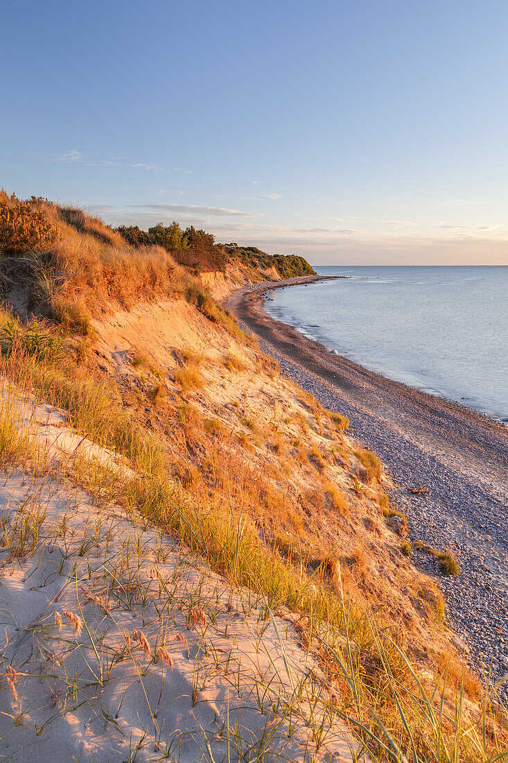 Cliffs and dunes in evening light, near Dranske, Peninsula Wittow, Island Ruegen, Baltic Sea coast, Mecklenburg-Western Pomerania, Northern Germany, Germany, Europe