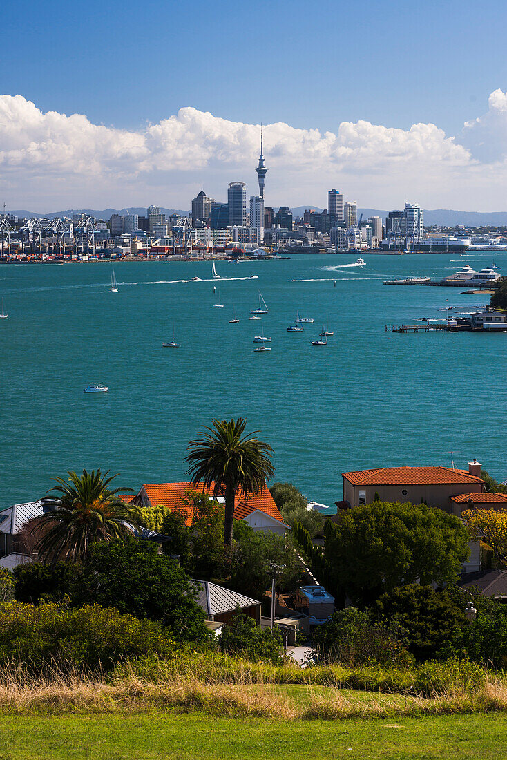 Auckland City skyline and Auckland Harbour seen from Devenport, North Island, New Zealand, Pacific