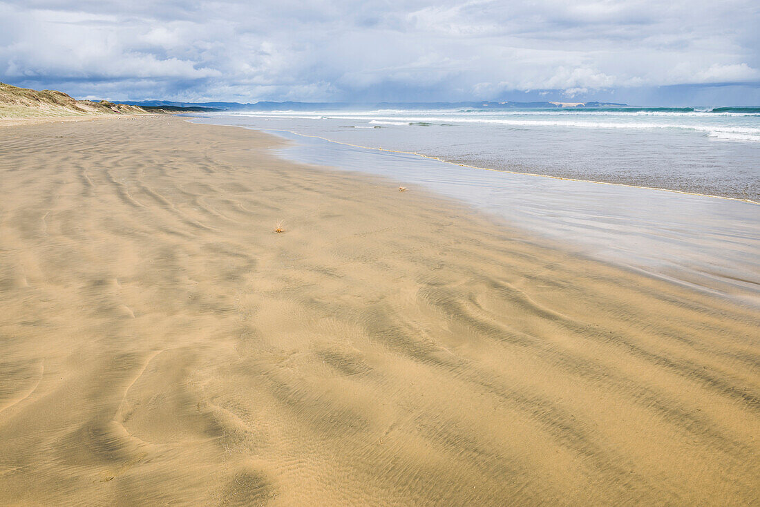 90 Mile Beach, Northland, Nordinsel, Neuseeland, Pazifik