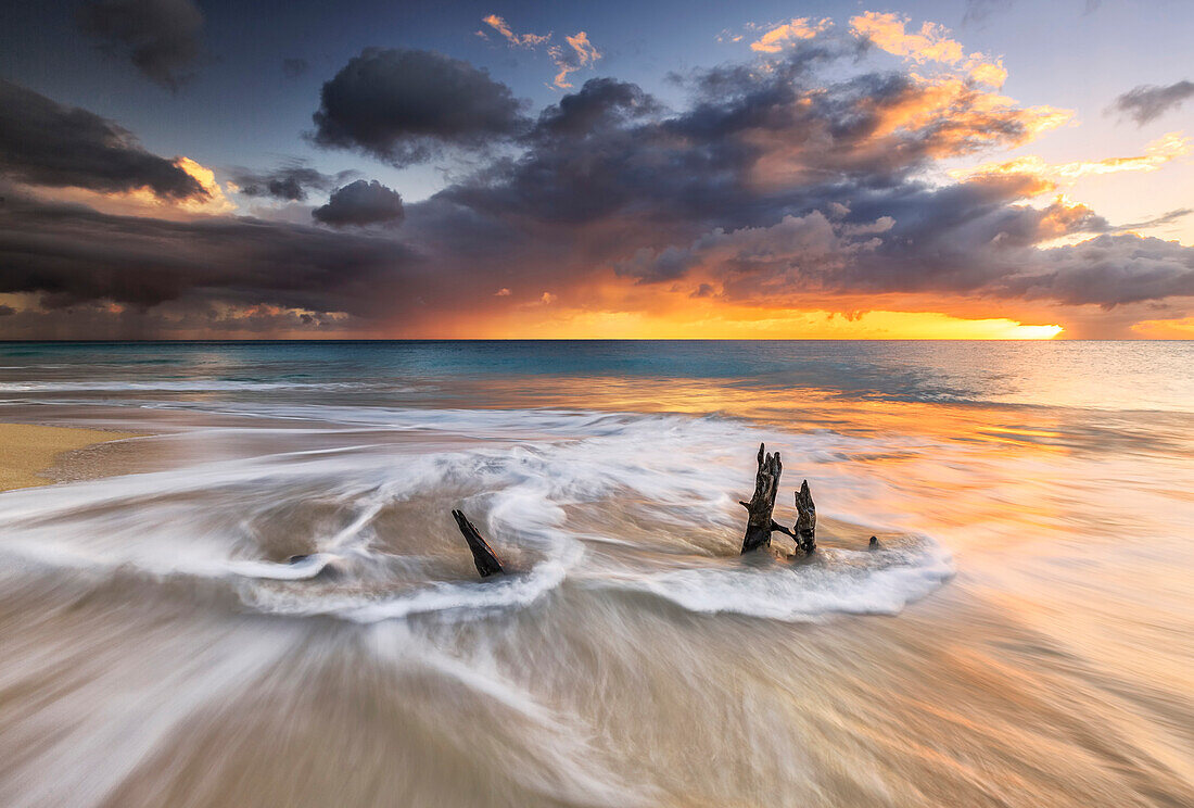 The waves and caribbean sunset frames tree trunks on Ffryes Beach, Antigua, Antigua and Barbuda, Leeward Islands, West Indies, Caribbean, Central America