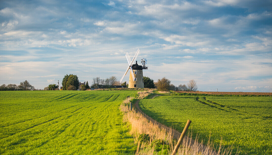 Windmühle in Great Haseley in Oxfordshire, England, Großbritannien, Europa