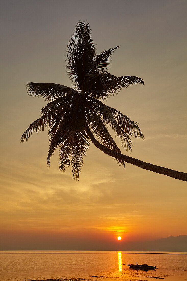 A sunset silhouette of a coconut palm at Paliton beach, Siquijor, Philippines, Southeast Asia, Asia