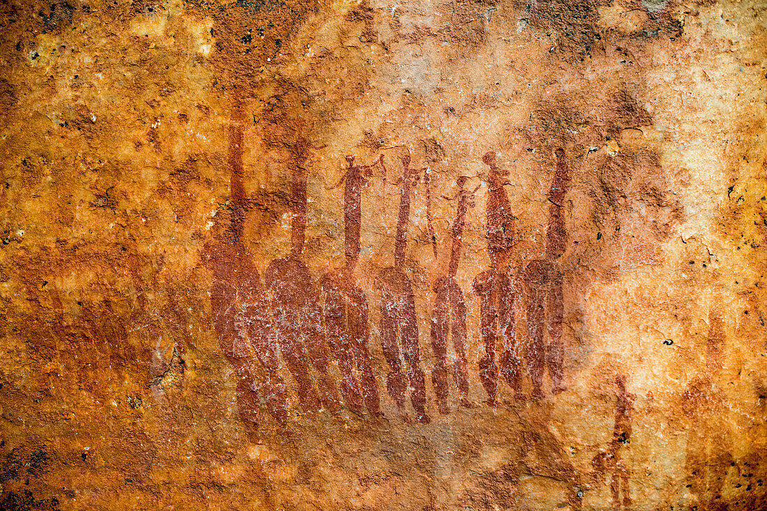 San Felsenkunst Höhlenmalereien an der Wand eines felsigen Überhangs im Cederberg, Westkap, Südafrika, Afrika