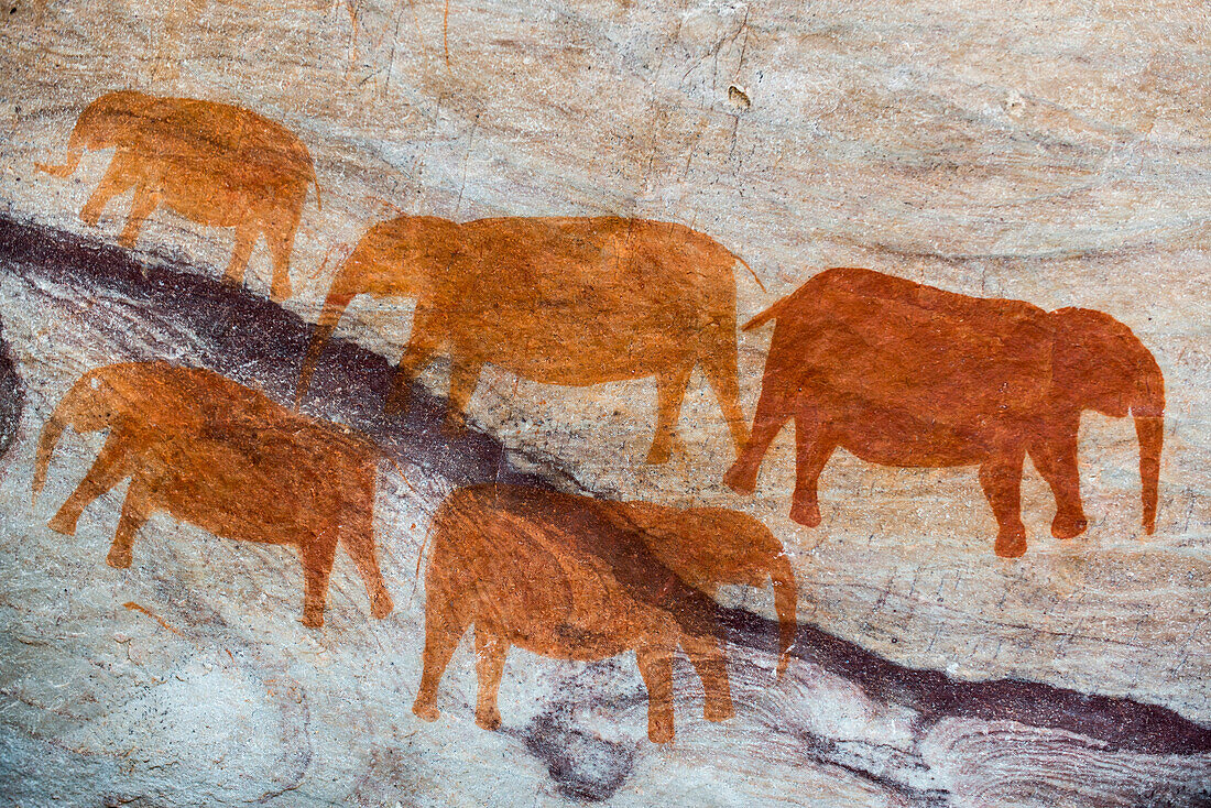 San Felsenkunst Höhlenmalereien an der Wand eines felsigen Überhangs in den Stadsaal Höhlen im Cederberg, Westkap, Südafrika, Afrika