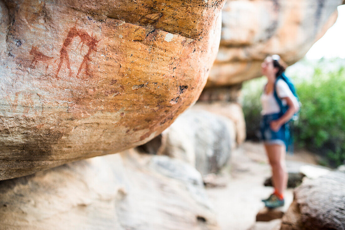 San Felsenkunst Höhlenmalereien an der Wand eines felsigen Überhangs im Cederberg, Westkap, Südafrika, Afrika