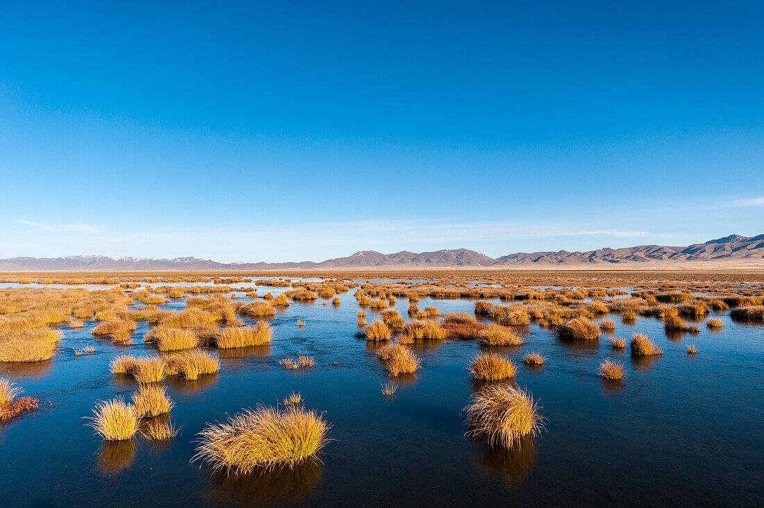 Huahu (Flower Lake), an important sanctuary for birds, Sichuan, China, Asia