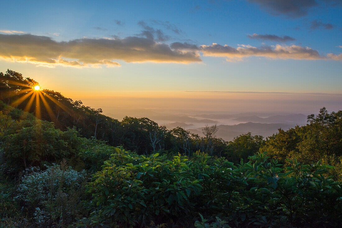Sonnenaufgang über den Blue Ridge Mountains, North Carolina, Vereinigte Staaten von Amerika, Nordamerika